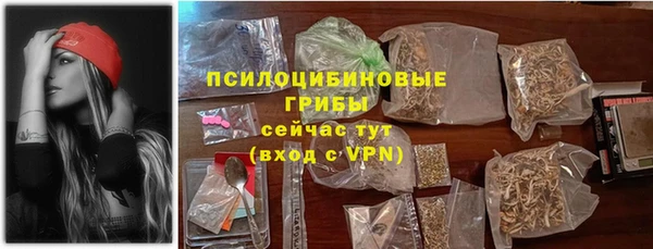 соль ск Арсеньев