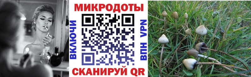 Псилоцибиновые грибы GOLDEN TEACHER  Прохладный 